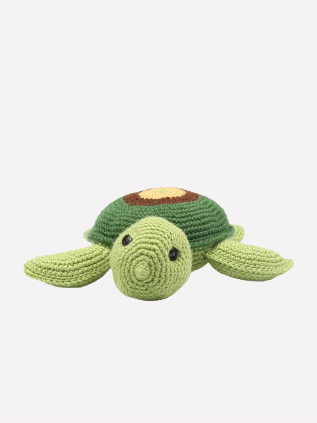 Bullseye the Sea Turtle